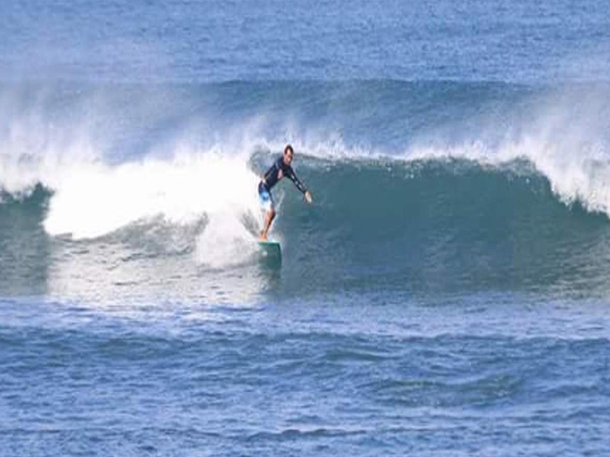 The Nest Canggu Dış mekan fotoğraf