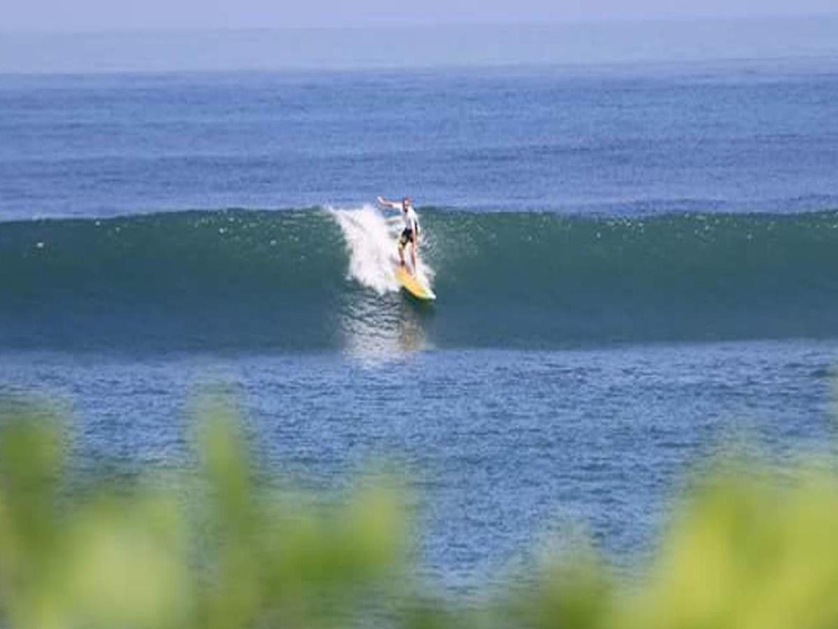 The Nest Canggu Dış mekan fotoğraf